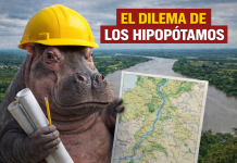 El Dilema de los Hipopótamos